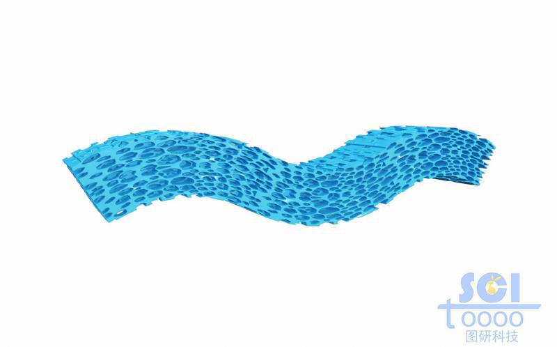 隨機(jī)多孔的泡沫結(jié)構(gòu)/海綿結(jié)構(gòu)