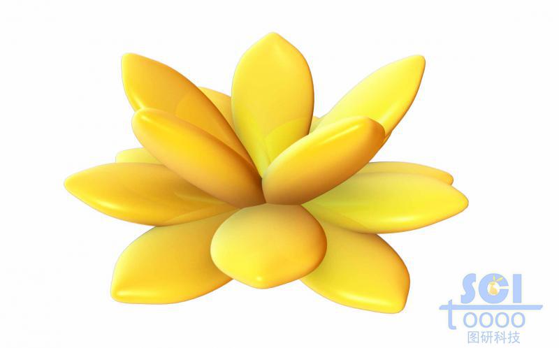 多層結(jié)構(gòu)納米花