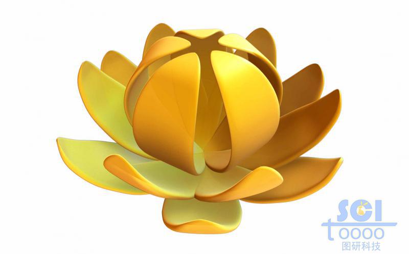 荷花狀的納米花