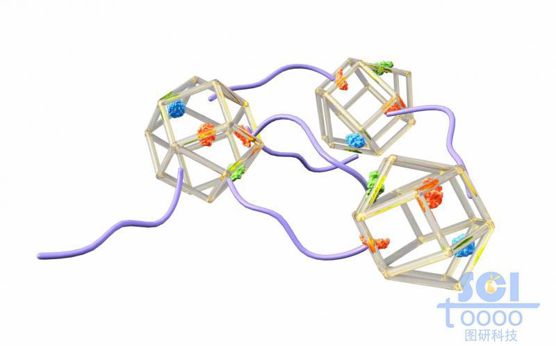 聚多巴胺@酶/MOF復(fù)合物