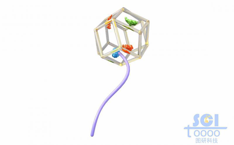 酶包埋在MOF內(nèi)形成酶/MOF復(fù)合物