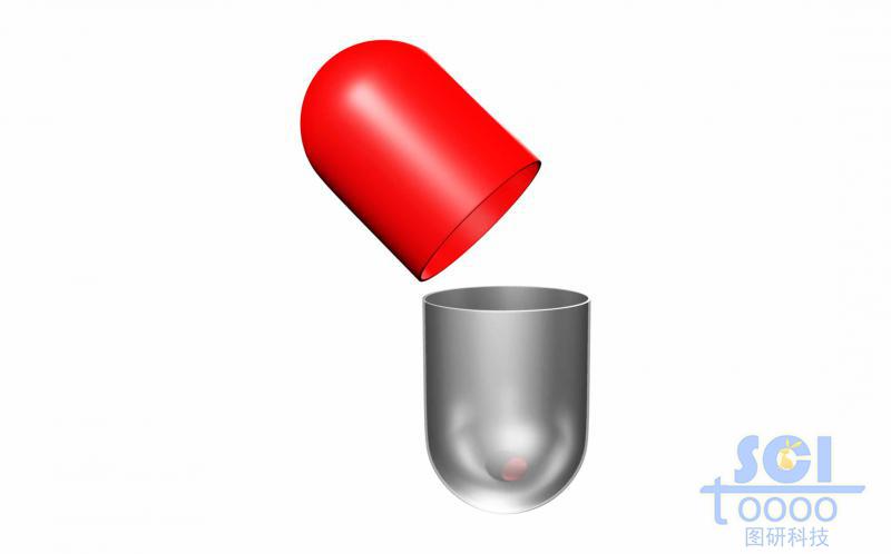 打開的膠囊結(jié)構(gòu)