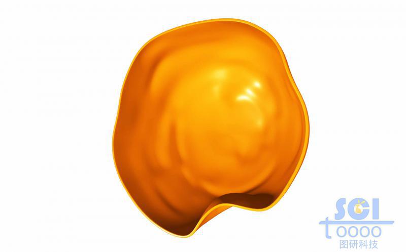 帶內吞口的半切面的細胞膜