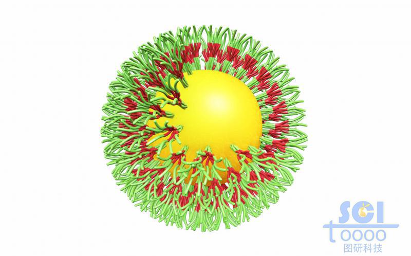 表面裝在成束的多肽鏈的納米磁珠