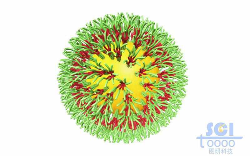 表面裝在成束的多肽鏈的納米磁珠