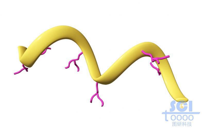 表面帶小分子鏈段修飾的螺旋狀HACA