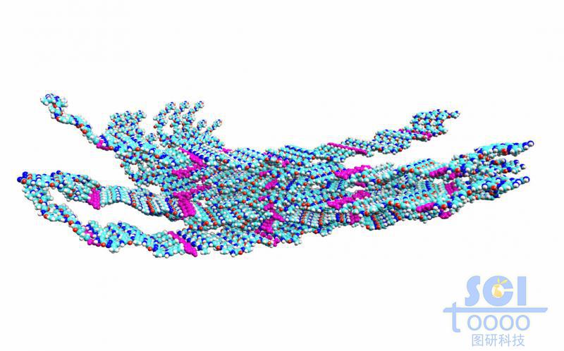 纖維的內(nèi)部分子排布
