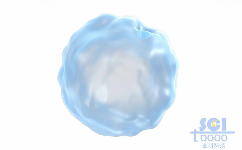 半透明的薄層細胞膜