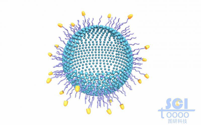 表面帶生物受體的空心納米藥物球內(nèi)含DOX藥物