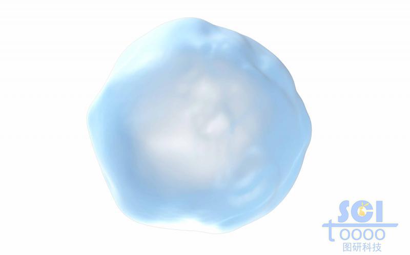 半透明的薄層細胞膜