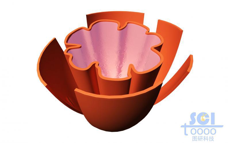 半切面線粒體結(jié)構(gòu)