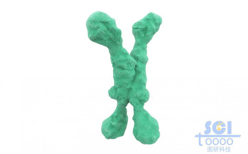 染色體結(jié)構(gòu)