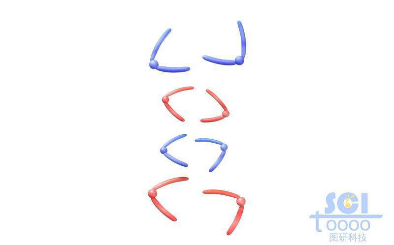 染色體結(jié)構(gòu)