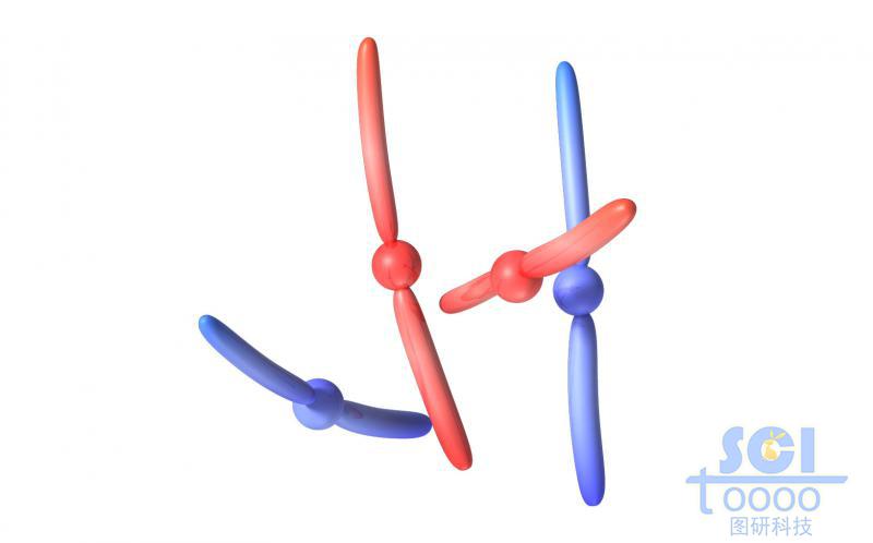 染色體結(jié)構(gòu)