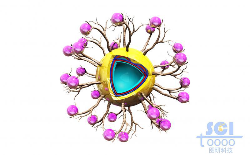 四層殼的核殼結(jié)構(gòu)表面連接熒光染料/功能基團(tuán)