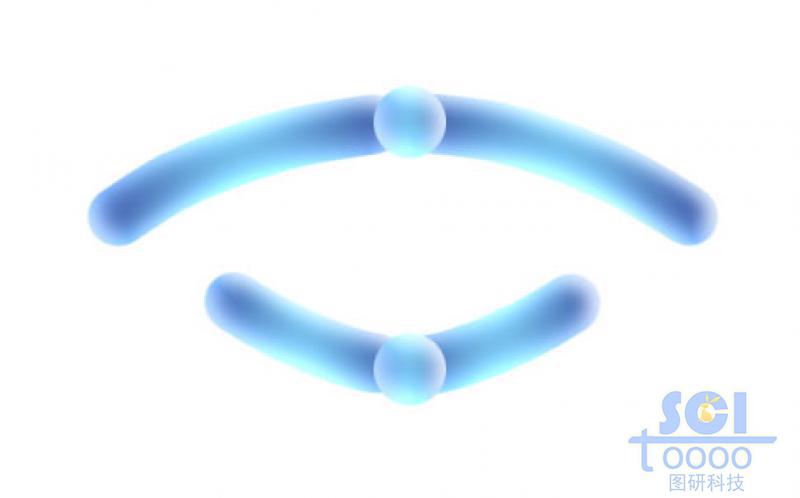 染色體結(jié)構(gòu)