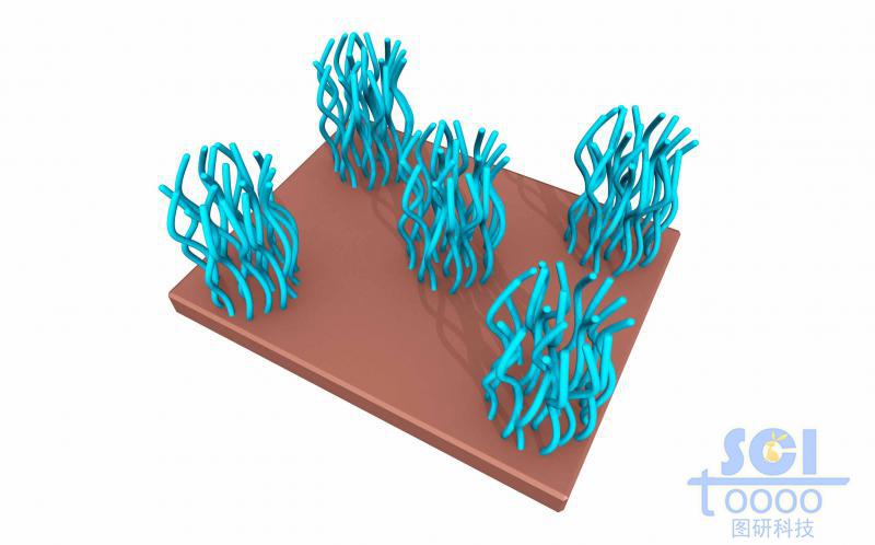 納米圖案化聚合物刷/高分子鏈段簇