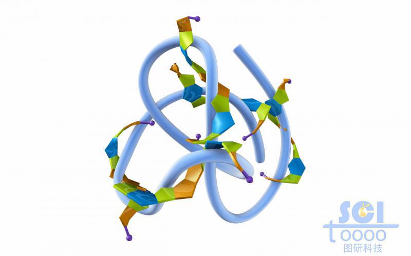 高分子鏈段夾雜小分子團(tuán)聚