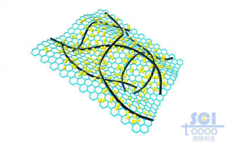 表面附著納米線/碳納米管與小分子的石墨烯
