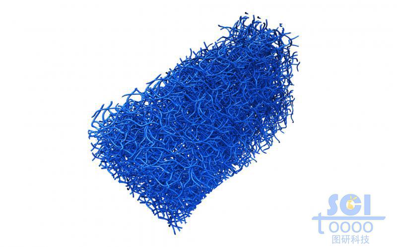 相互纏繞的長碳管形成的多孔/膜結構