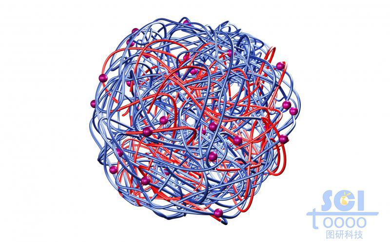 高分子鏈段交聯(lián)纏繞形成的籠狀結(jié)構(gòu)內(nèi)嵌吸附納米藥物