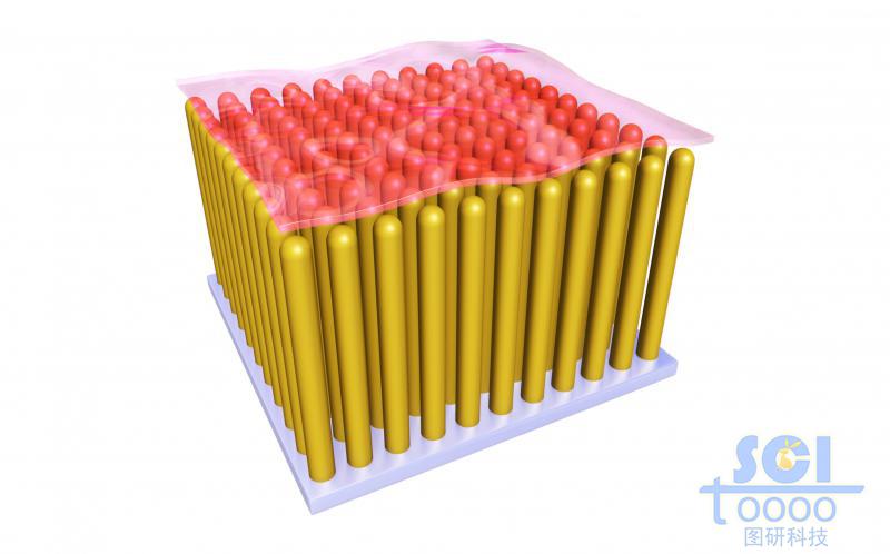 石墨烯負載到ZnO納米棒陣列形成的復(fù)合材料