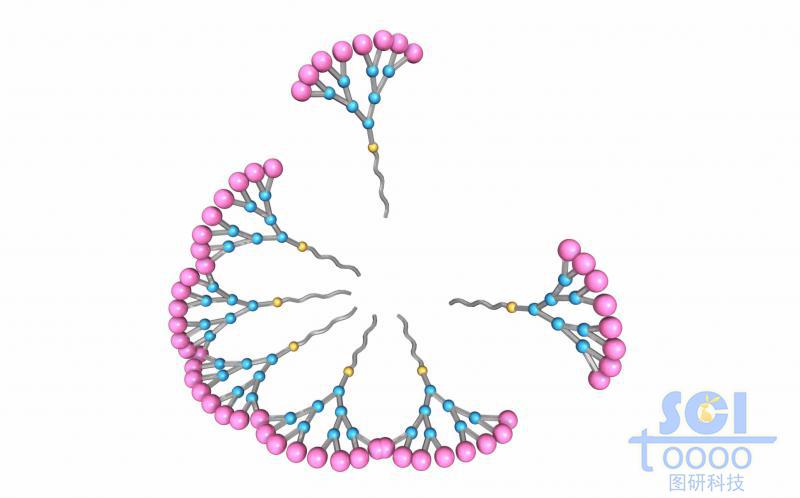 樹(shù)枝狀高分子鏈段結(jié)構(gòu)