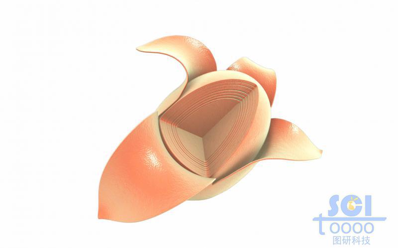 洋蔥狀的核/多層殼晶體結(jié)構(gòu)