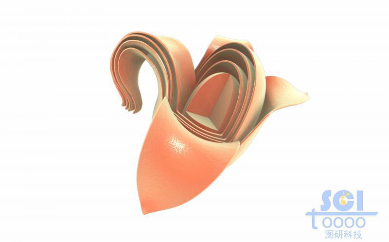 洋蔥狀的核/多層殼晶體結(jié)構(gòu)