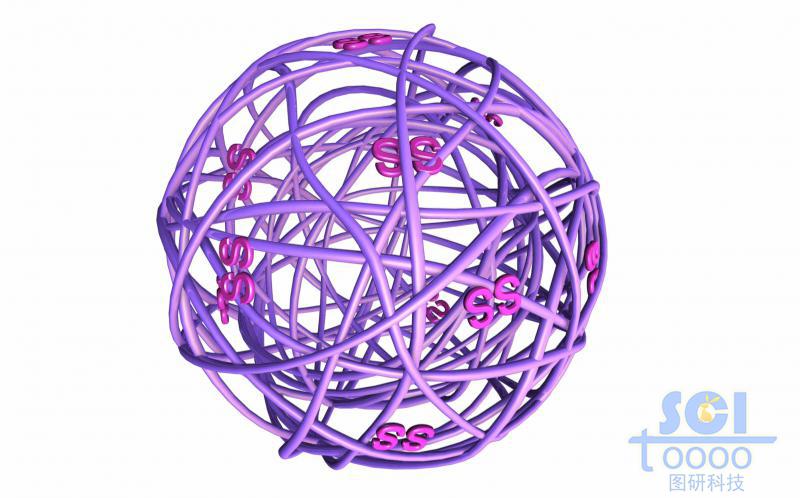 高分子鏈段纏繞形成的籠架結(jié)構(gòu)表面帶硫硫ss雙鍵