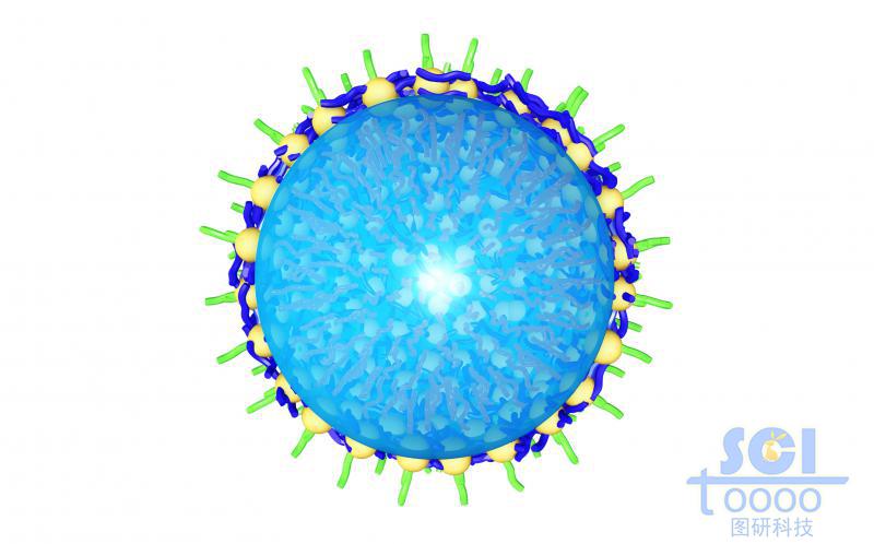 高分子鏈段交聯(lián)形成的內(nèi)部包裹溶液/水/乳液的納米球/微球