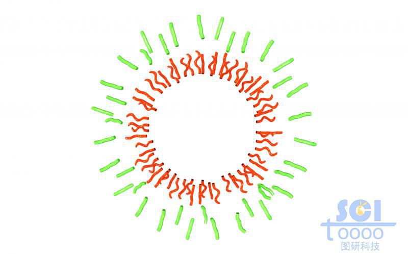 高分子鏈段向心團(tuán)聚平面/切面/剖面示意圖