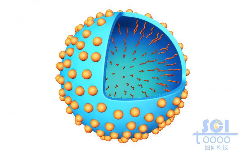 表面帶小基團(tuán)/功能基團(tuán)的內(nèi)部空腔的空心納米球