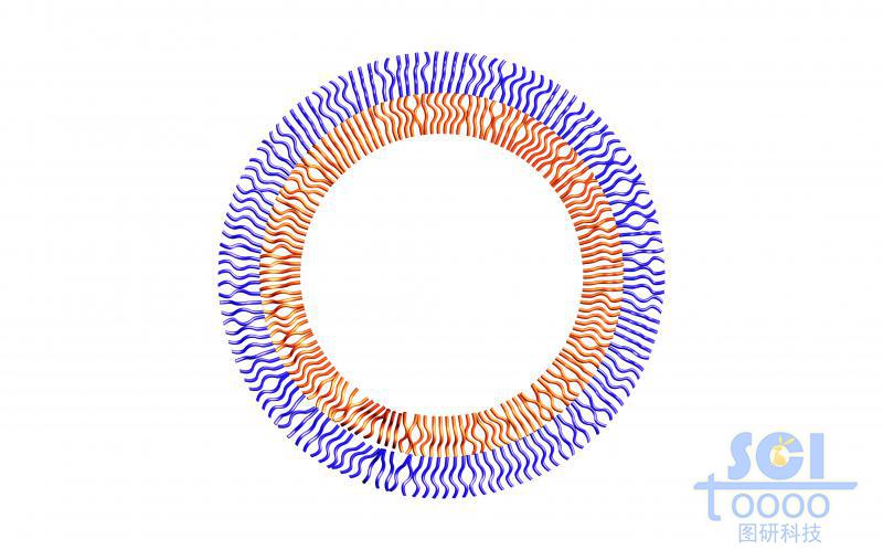 高分子鏈段向心團(tuán)聚平面/切面/剖面示意圖
