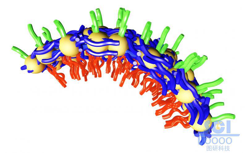 高分子鏈段交聯(lián)形成納米球殼細(xì)節(jié)片段/放大
