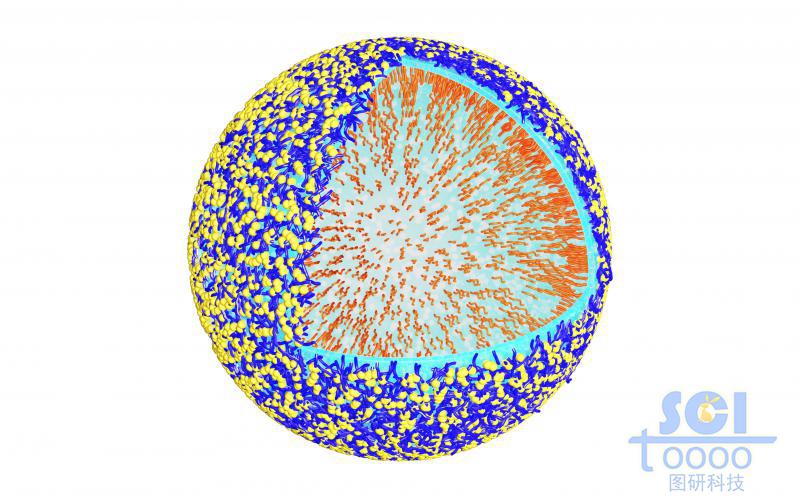 高分子鏈段交聯(lián)形成空心球殼