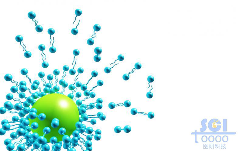 半疏散/分解/融化開(kāi)的膠束球