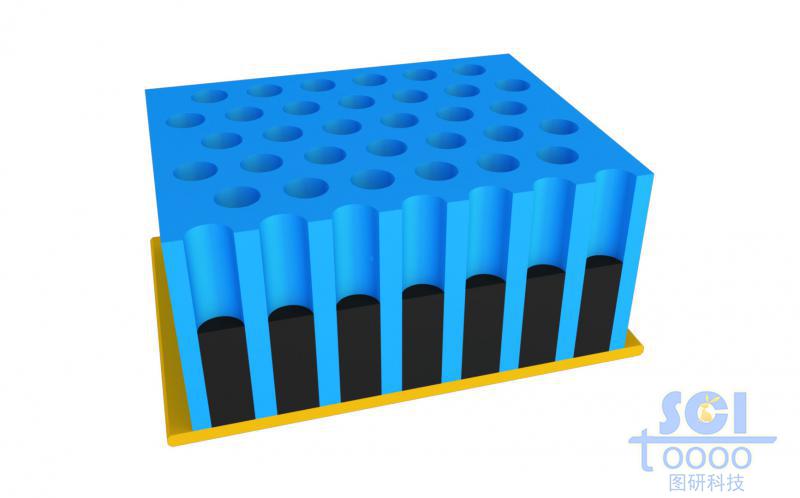前端帶剖面的納米孔道及孔道內(nèi)生長納米柱的示意圖