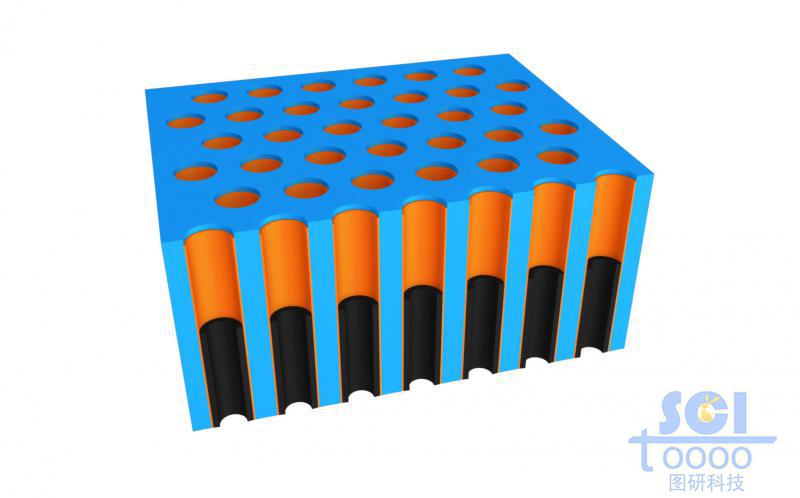 前端帶剖面的納米孔道及孔道內(nèi)生長(zhǎng)納米柱的示意圖