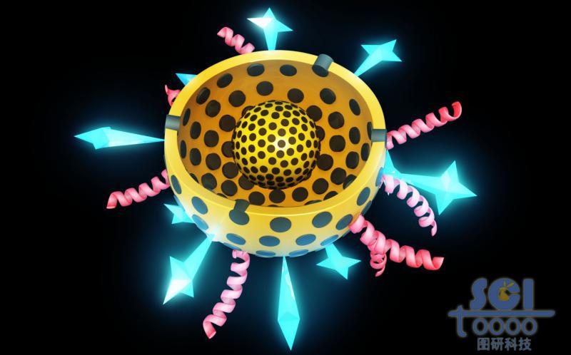 帶二分之一切口的雙層介孔球/硅球/納米顆粒孔道填充藥物外修飾肽鏈/星形結(jié)構(gòu)分子