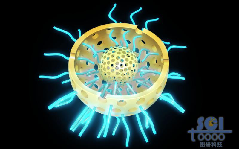 二分之一切口的雙層介孔硅球，球殼內(nèi)外均含硫基/高分子鏈段