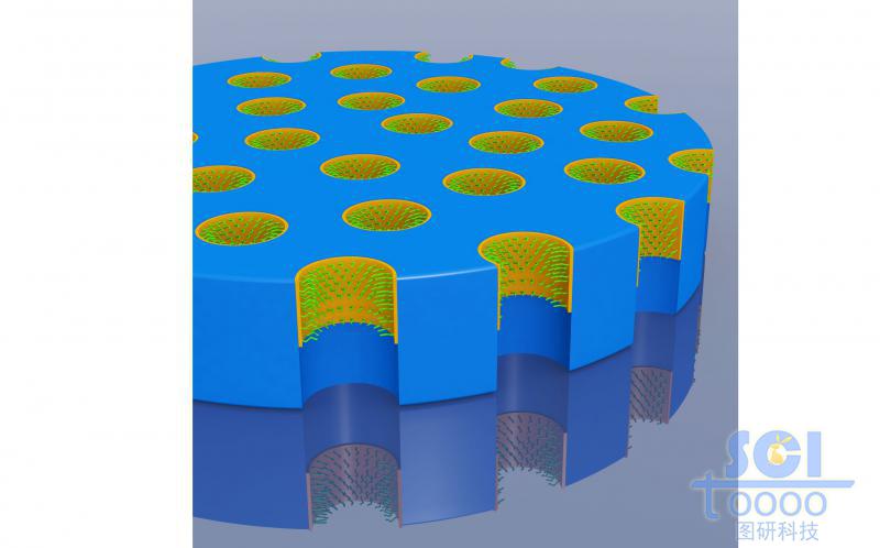 孔壁帶修飾的多孔離子通道
