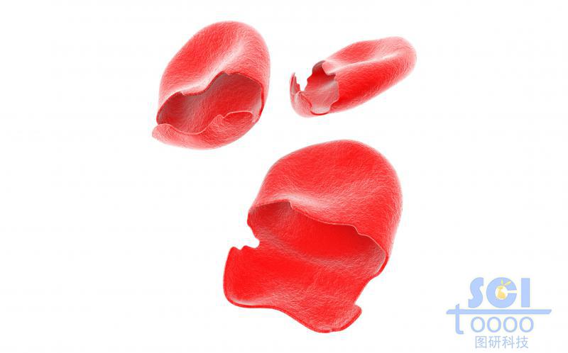 破裂的血紅細(xì)胞