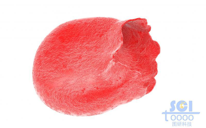 破裂的血紅細(xì)胞