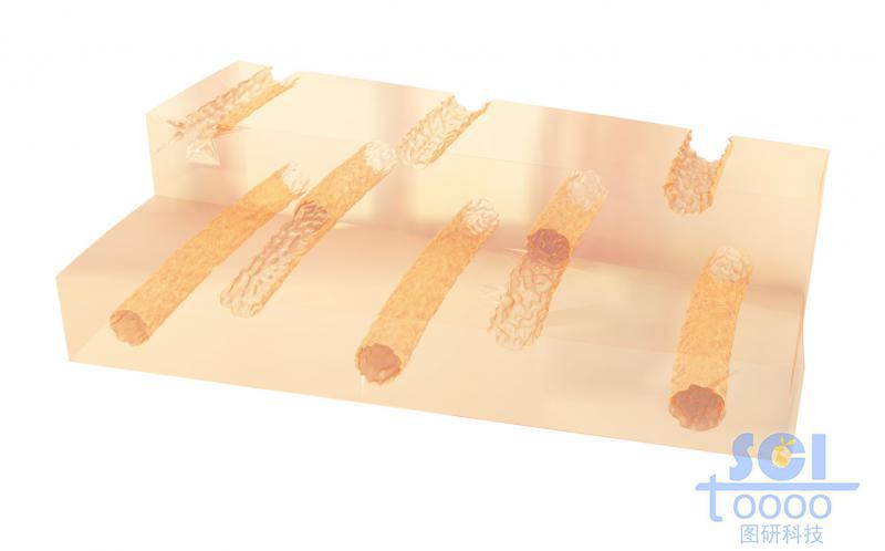 帶剖面的孔道結(jié)構(gòu)