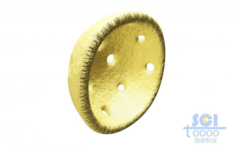 帶核孔的二分之一切面的細(xì)胞核