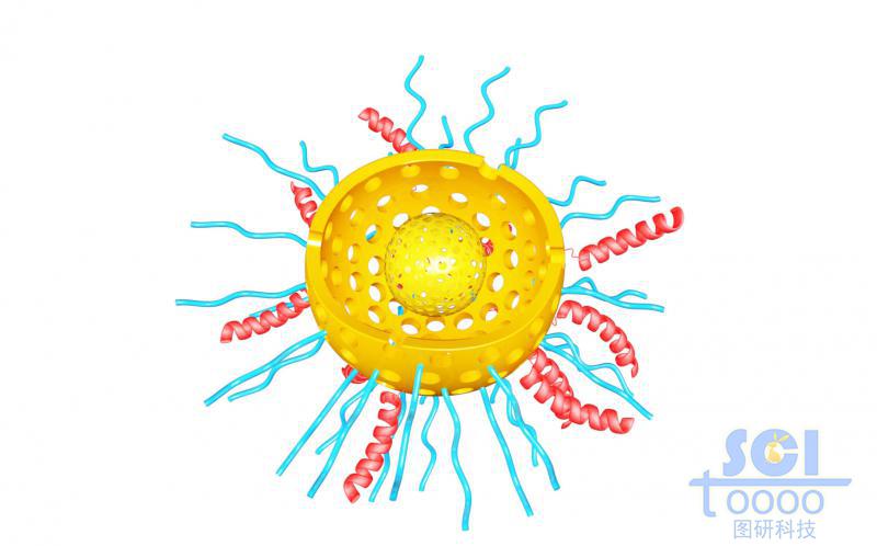 二分之一切口的雙層介孔硅球，球殼內(nèi)外均含硫基/高分子鏈段