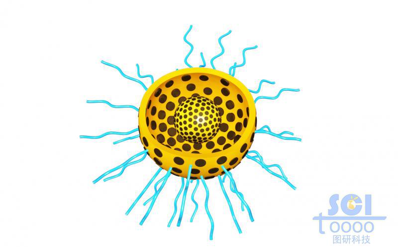帶二分之一切口的雙層介孔球/硅球/納米顆?？椎捞畛渌幬锿庑揎楇逆?星形結(jié)構(gòu)分子