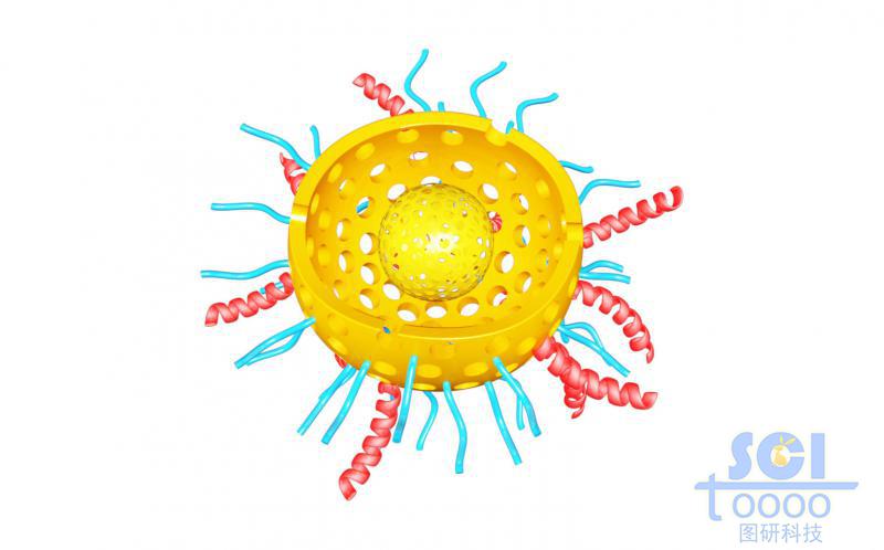 二分之一切口的雙層介孔硅球孔道內(nèi)帶藥物DOX球殼內(nèi)外均含硫基/高分子鏈段