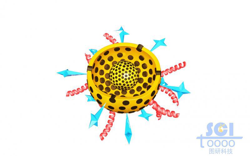 帶二分之一切口的雙層介孔球/硅球/納米顆?？椎捞畛渌幬锿庑揎楇逆?星形結(jié)構(gòu)分子